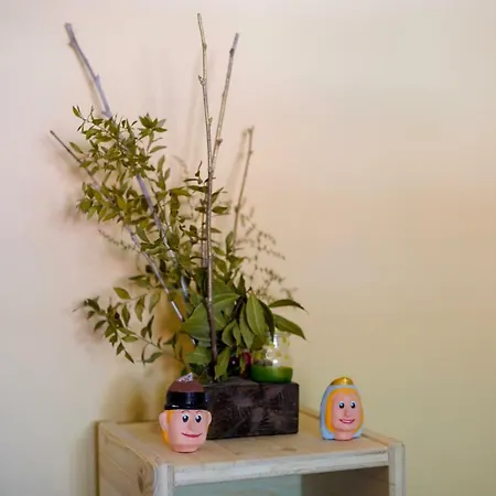 La Rectoria D'albanya אכסניה